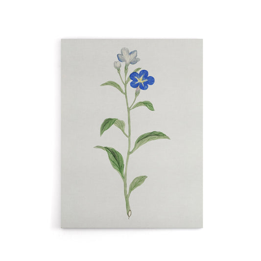 Blue Flower Canvas Wall Art Print Vintage Japanese Botanical