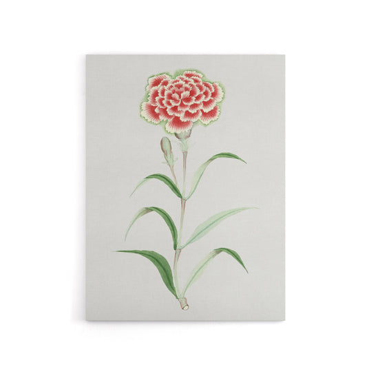 Carnation Flower Canvas Wall Art Print Vintage Japanese Botanical