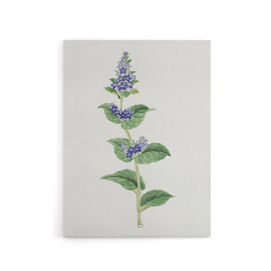 Gentian Flower Canvas Wall Art Print Vintage Japanese Botanical