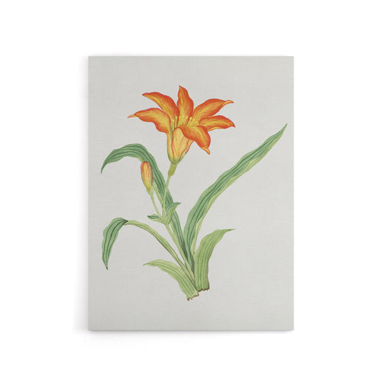 Orange Lily Flower Canvas Wall Art Print Vintage Japan Botanical