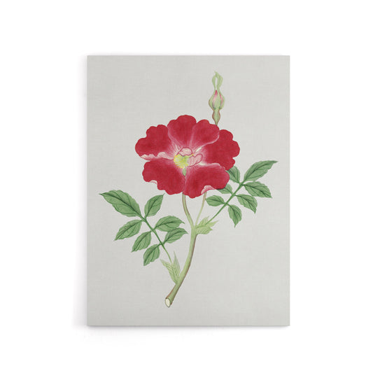 Red Flower Canvas Wall Art Print Vintage Japanese Botanical