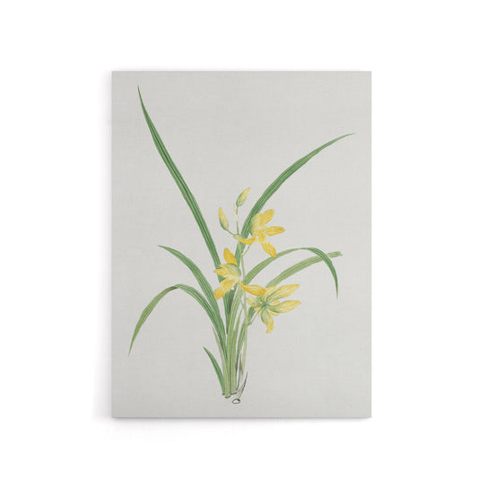 Yellow Lilies Canvas Wall Art Print Vintage Japanese Botanical