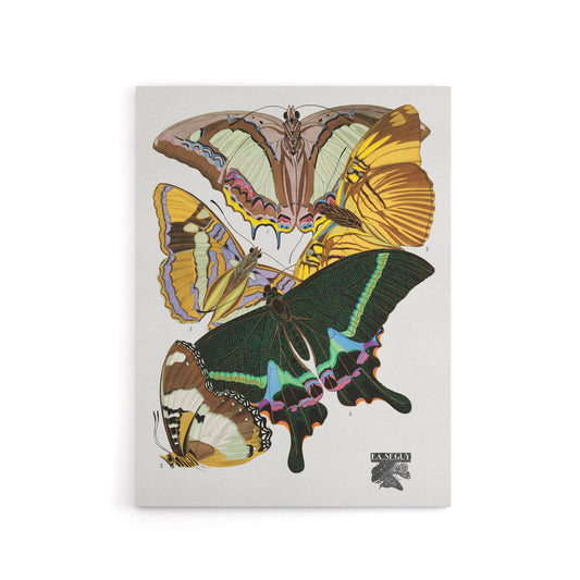 Bright Vintage Butterflies Papillons Canvas Wall Art Print Seguy