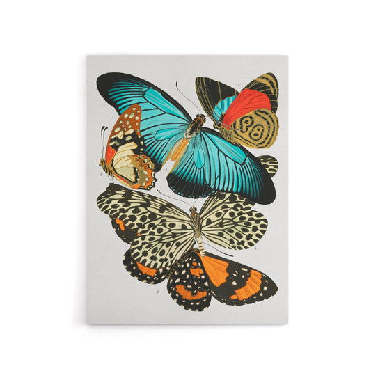 Vintage Butterflies Blue and Orange Canvas Wall Art Print Seguy
