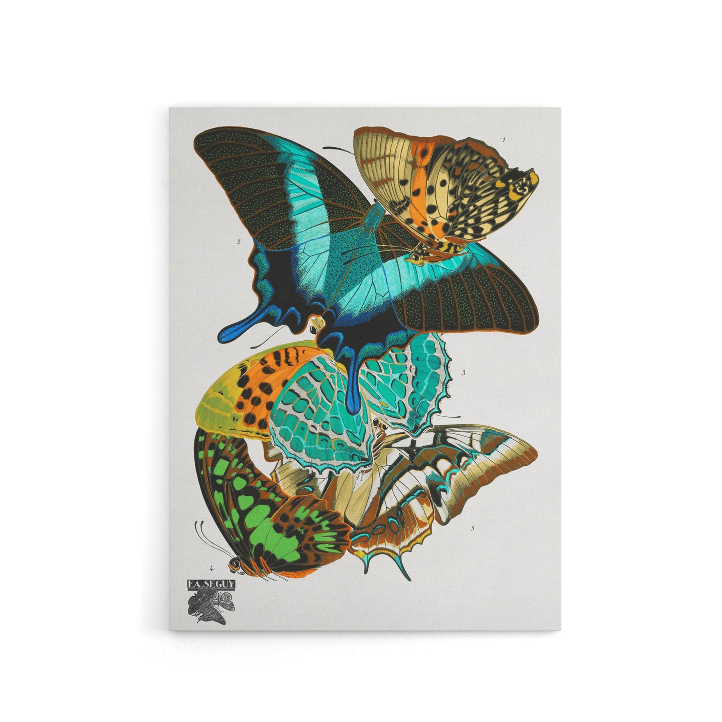 Vintage Colourful Butterflies Canvas Wall Art Print Eugene Seguy