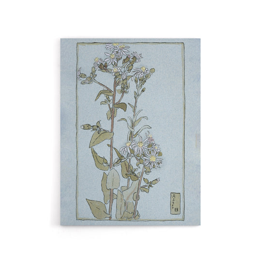Aster on Green Ground Canvas Wall Art Print Overbeck