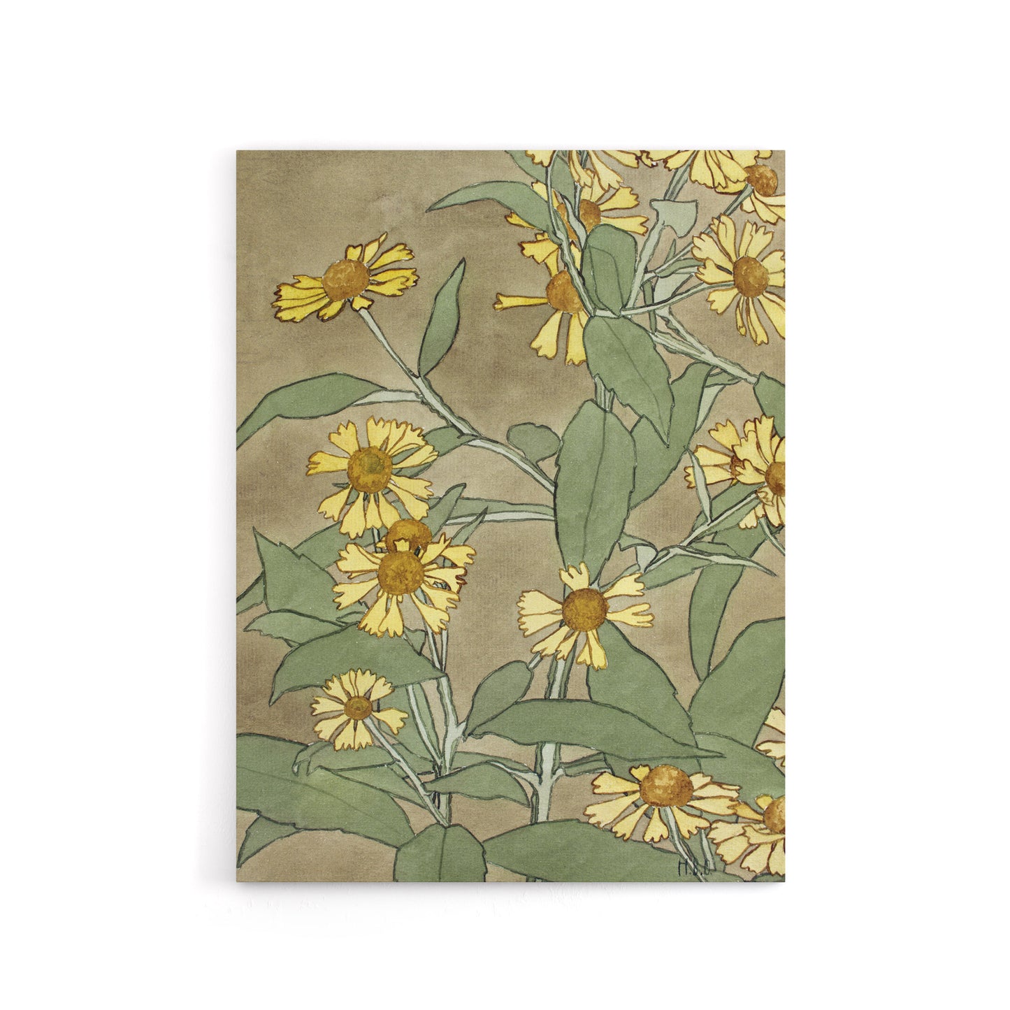Daisies with Yellow Petals Canvas Wall Art Print Overbeck