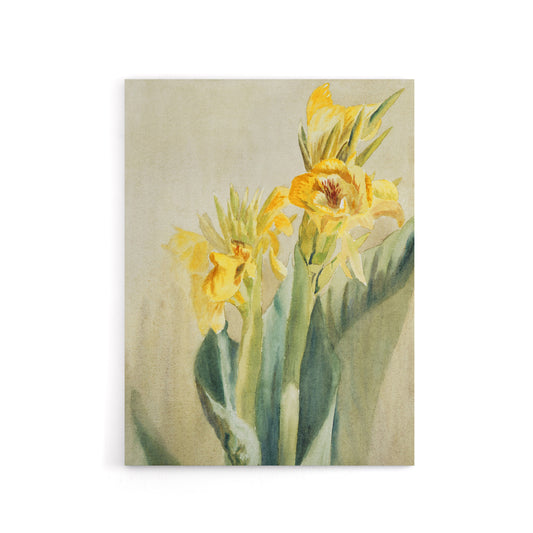 Yellow Canna Lily Flowers Canvas Wall Art Print Hannah Overbeck