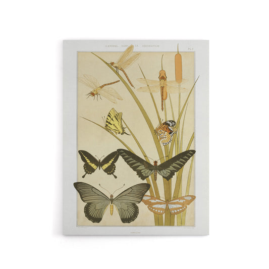 Butterflies and Dragonflies Canvas Wall Art Print Verneuil
