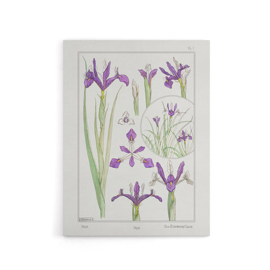 Purple Iris Flower Canvas Wall Art Print Vintage Floral Verneuil
