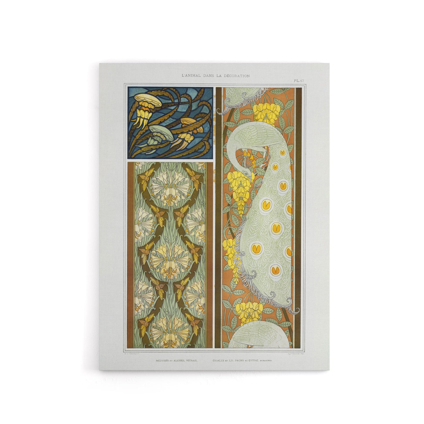 Peacock Jellyfish Lily Nouveau Canvas Wall Art Print Verneuil