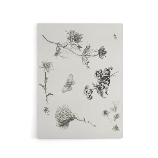 Flowers Leaves Butterfly Drawing Canvas Wall Art Print Hoytema