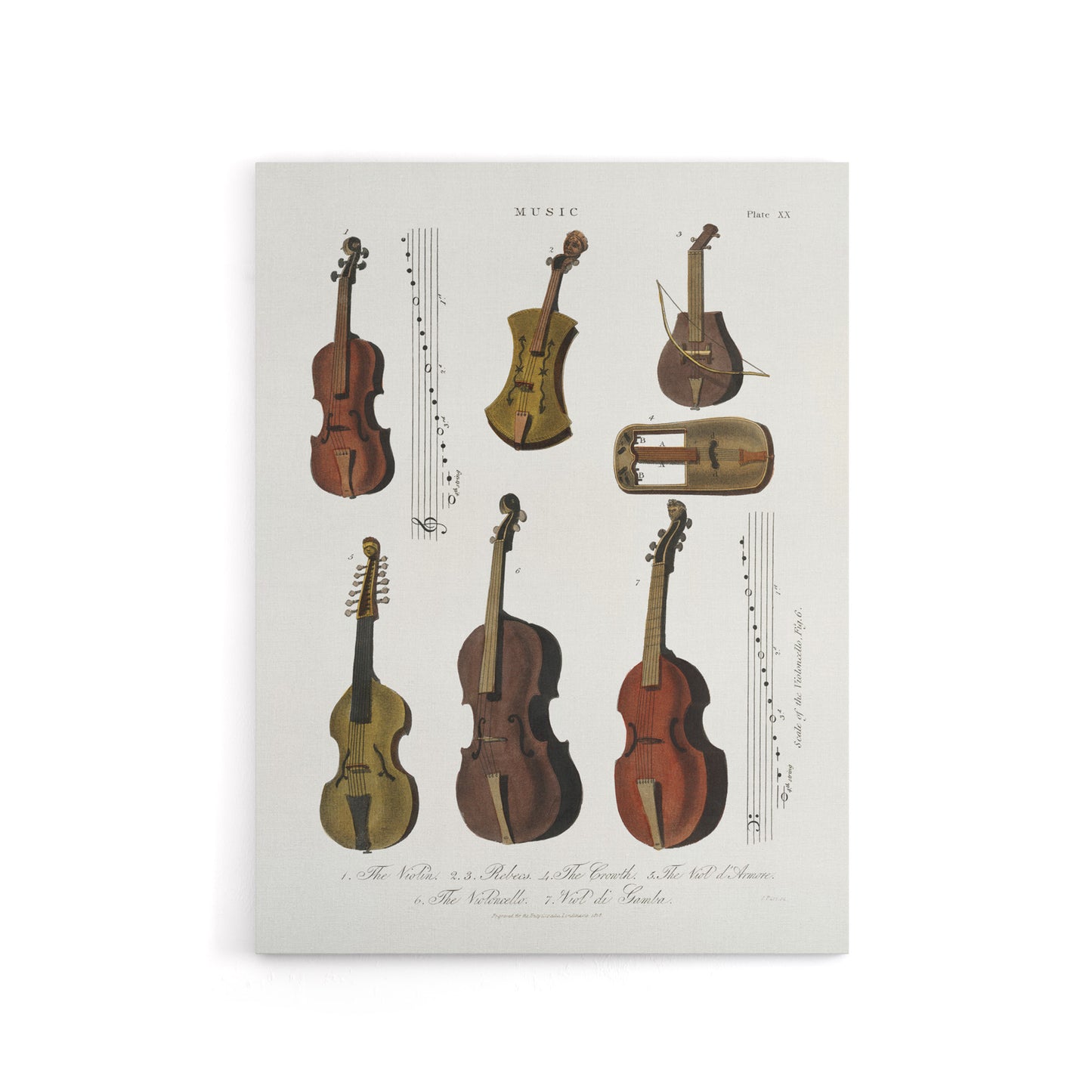 Violin Viola Cello Encyclopedia Londinensis Canvas Wall Art