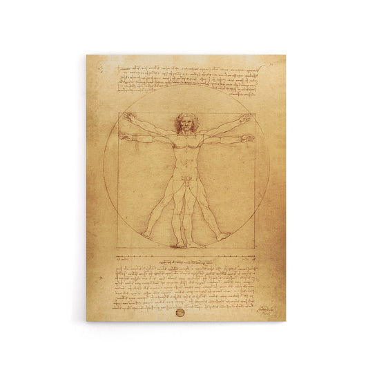 Vitruvian Man Drawing da Vinci Vintage Canvas Wall Art