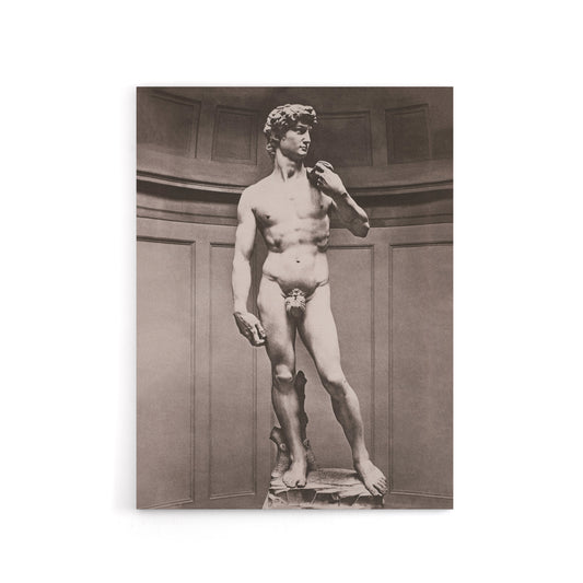 Statue of David Photograph Michelangelo Vintage Canvas Wall Art