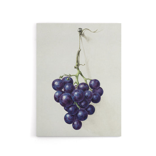 Bunch of Blue Grapes Oil Jean Bernard Vintage Canvas Wall Art