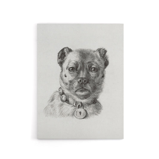 Dog head with a Collar Pencil Drawing Bernard Canvas Wall Art