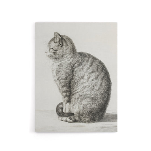 Sitting Smiling Cat Pencil Drawing Bernard Canvas Wall Art