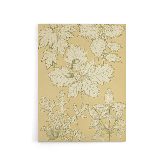 Oak Leaves and Acorns Botanical Jones Vintage Canvas Wall Art
