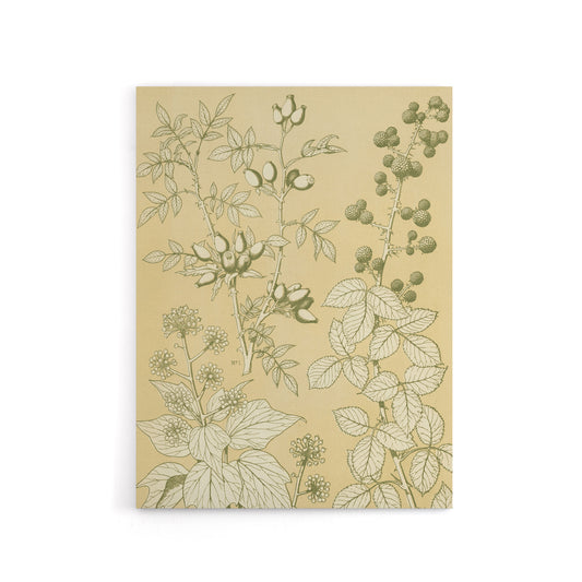 Wild Rose Ivy Blackberry Botanical Jones Vintage Canvas Wall Art