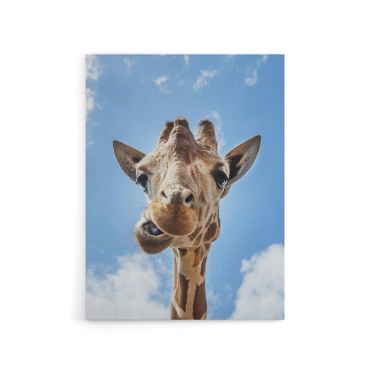 Funny up close look at a giraffe Highsmith Canvas Wall Art Print