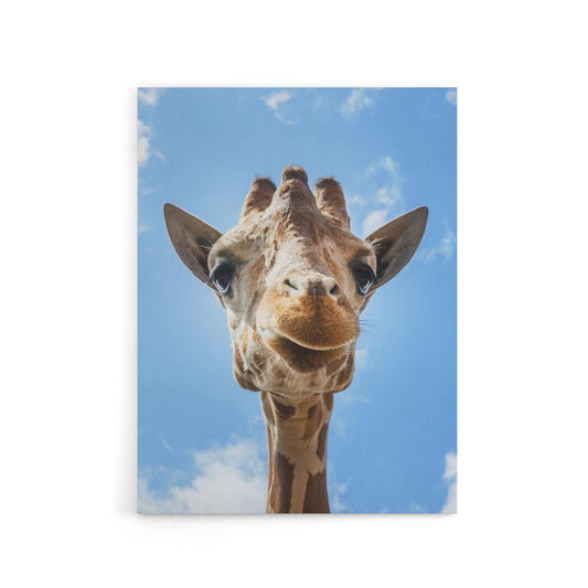 Up close look at a giraffe Carol M Highsmith Canvas Wall Art Print