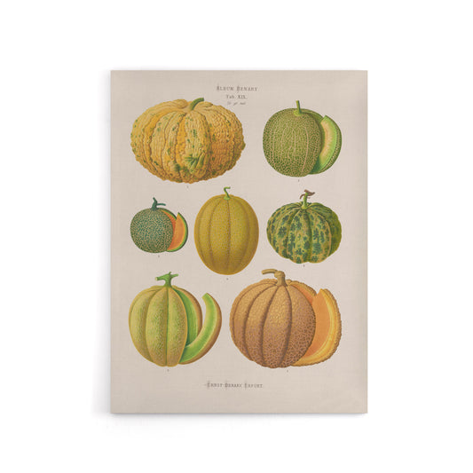 Melons Fruit Vintage Kitchen Ernst Benary Canvas Wall Art Print