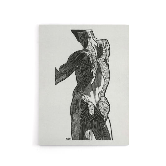 Anatomical study of gluteal muscles Stolk Canvas Wall Art Print