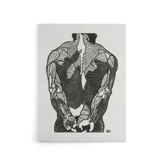 Anatomical study of mans back muscles Stolk Canvas Wall Art Print
