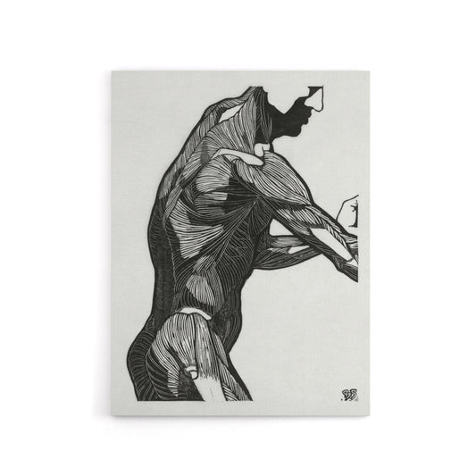 Anatomical study of mans lateral muscles Stolk Canvas Wall Art Print