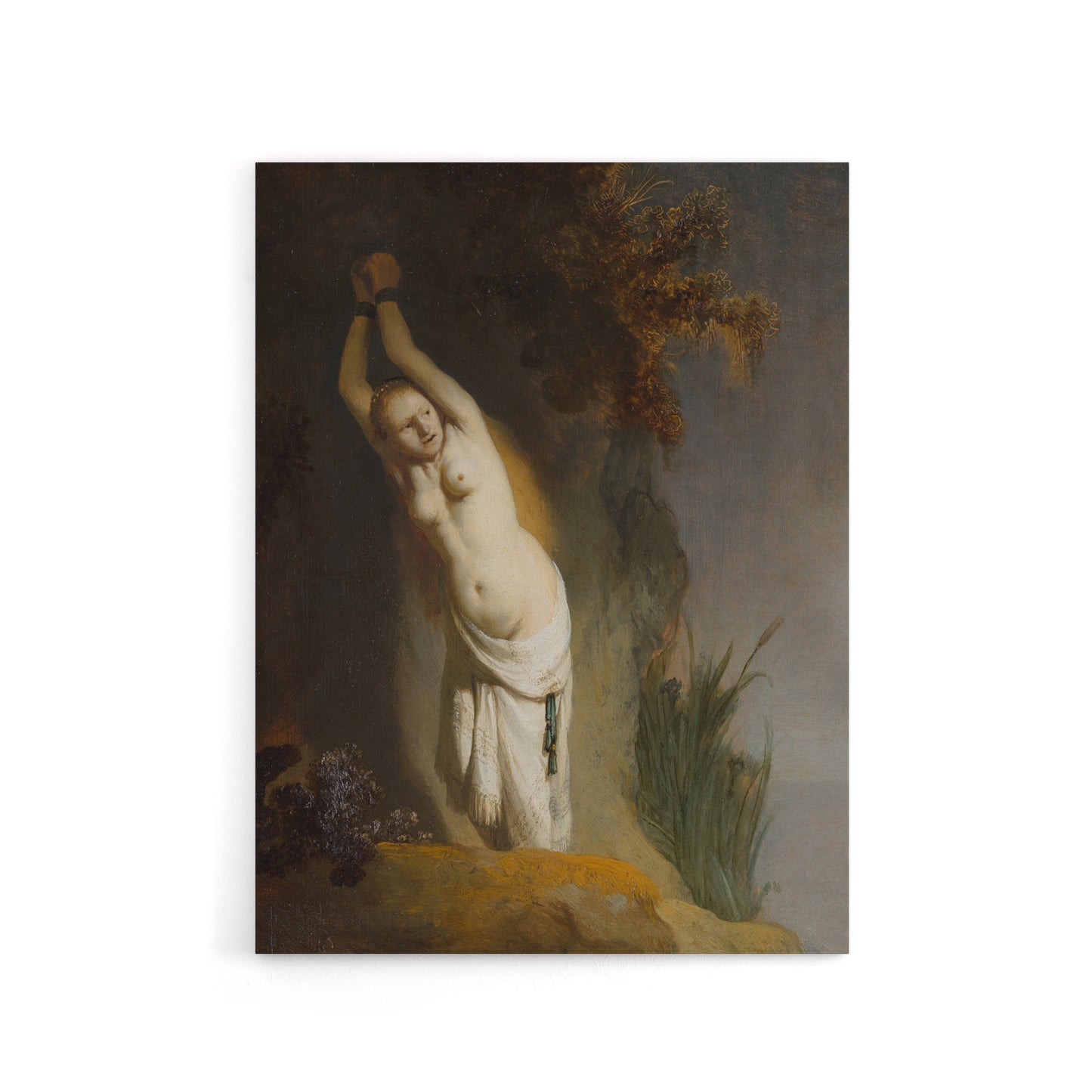 Andromeda Chained to the Rocks Rembrandt Canvas Wall Art Print
