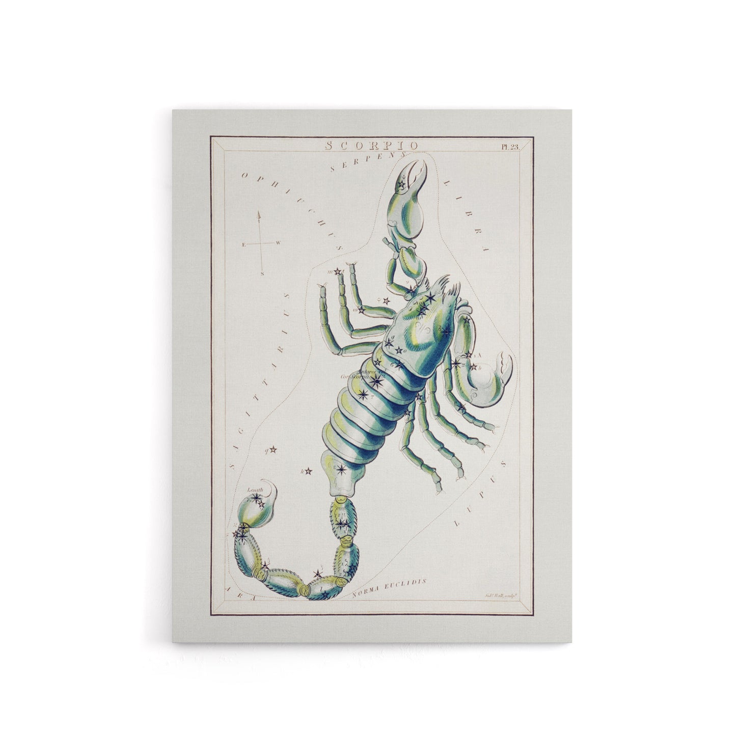 Astronomical Chart illustration of Scorpio Hall Canvas Wall Art Print