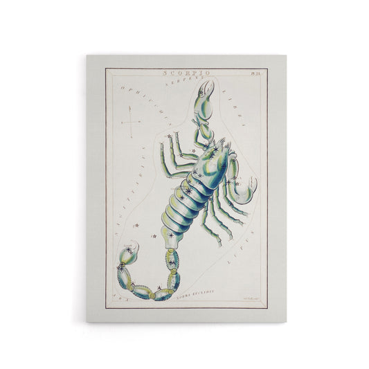 Astronomical Chart illustration of Scorpio Hall Canvas Wall Art Print