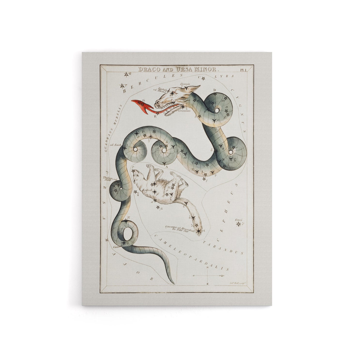 Draco and Ursa Minor Constellation Hall Canvas Wall Art Print