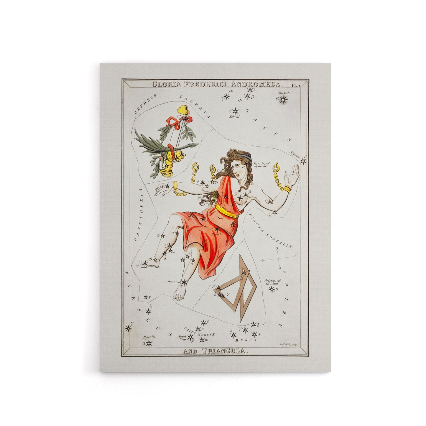 Vintage Andromeda Constellation Illustration Hall Canvas Wall Art Print
