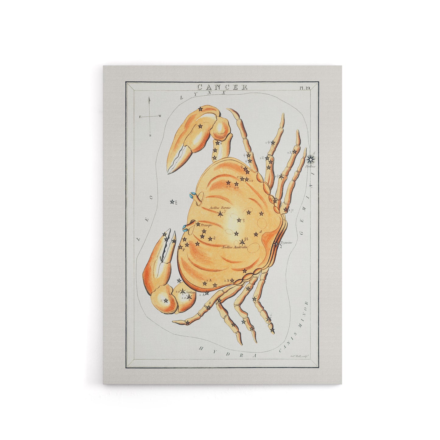 Vintage Cancer Constellation Illustration Hall Canvas Wall Art Print