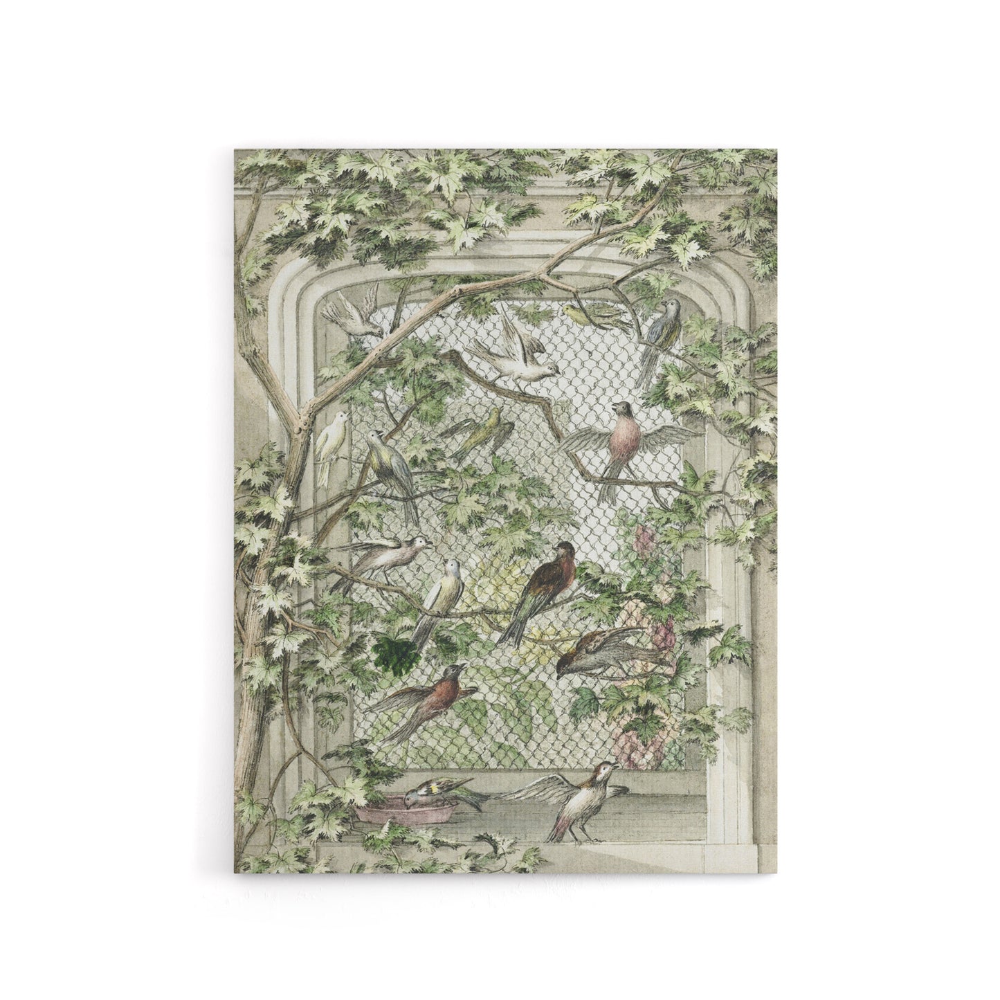Aviary with Fourteen Birds Schouman Canvas Wall Art Print
