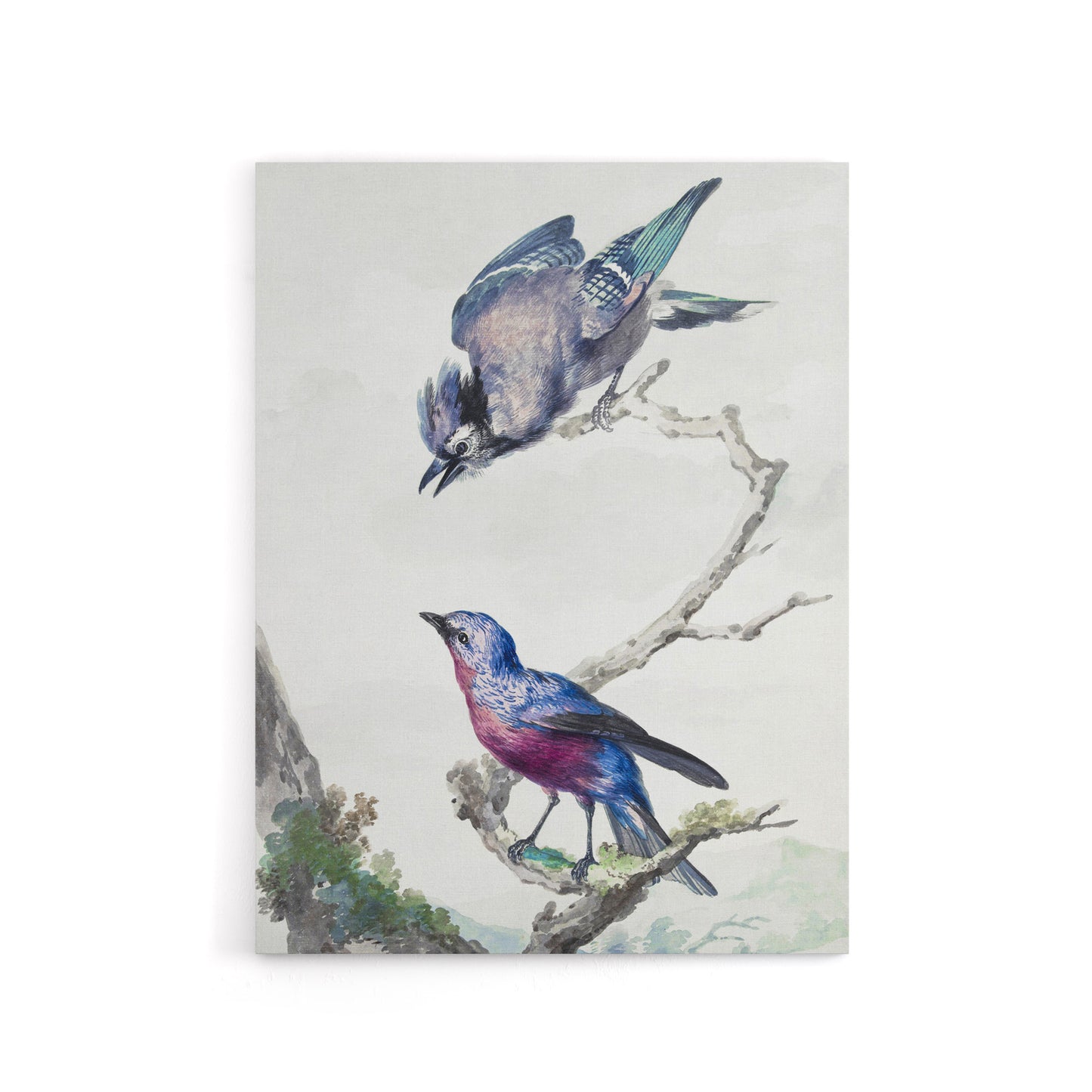 Blue Jay and a Purple Breasted Cotinga Schouman Canvas Wall Art Print