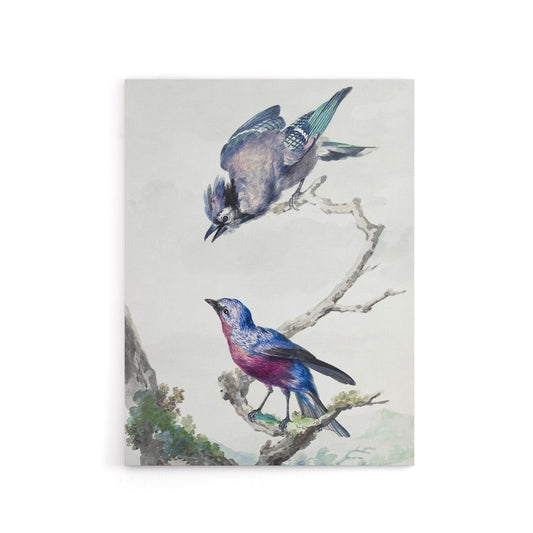 Blue Jay and a Purple Breasted Cotinga Schouman Canvas Wall Art Print