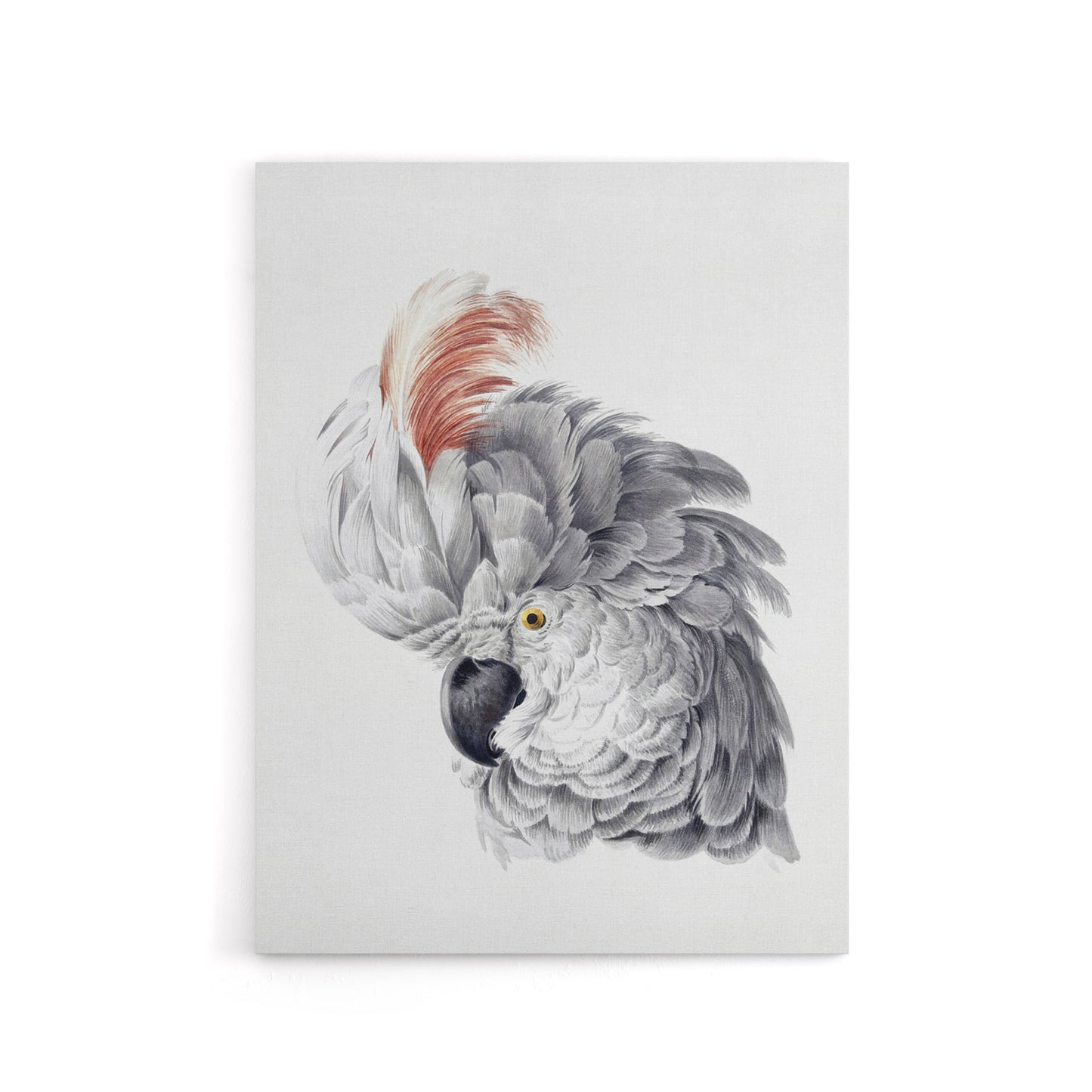 Cockatoo Parrot Head Watercolour Schouman Canvas Wall Art Print