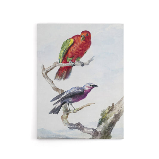 Red Green Parrot and Bird Watercolour Schouman Canvas Wall Art Print