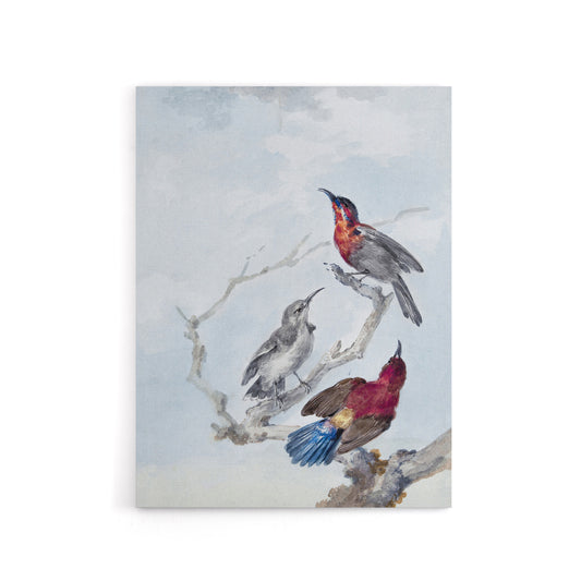 Three Crimson Sunbirds Watercolour Schouman Canvas Wall Art Print