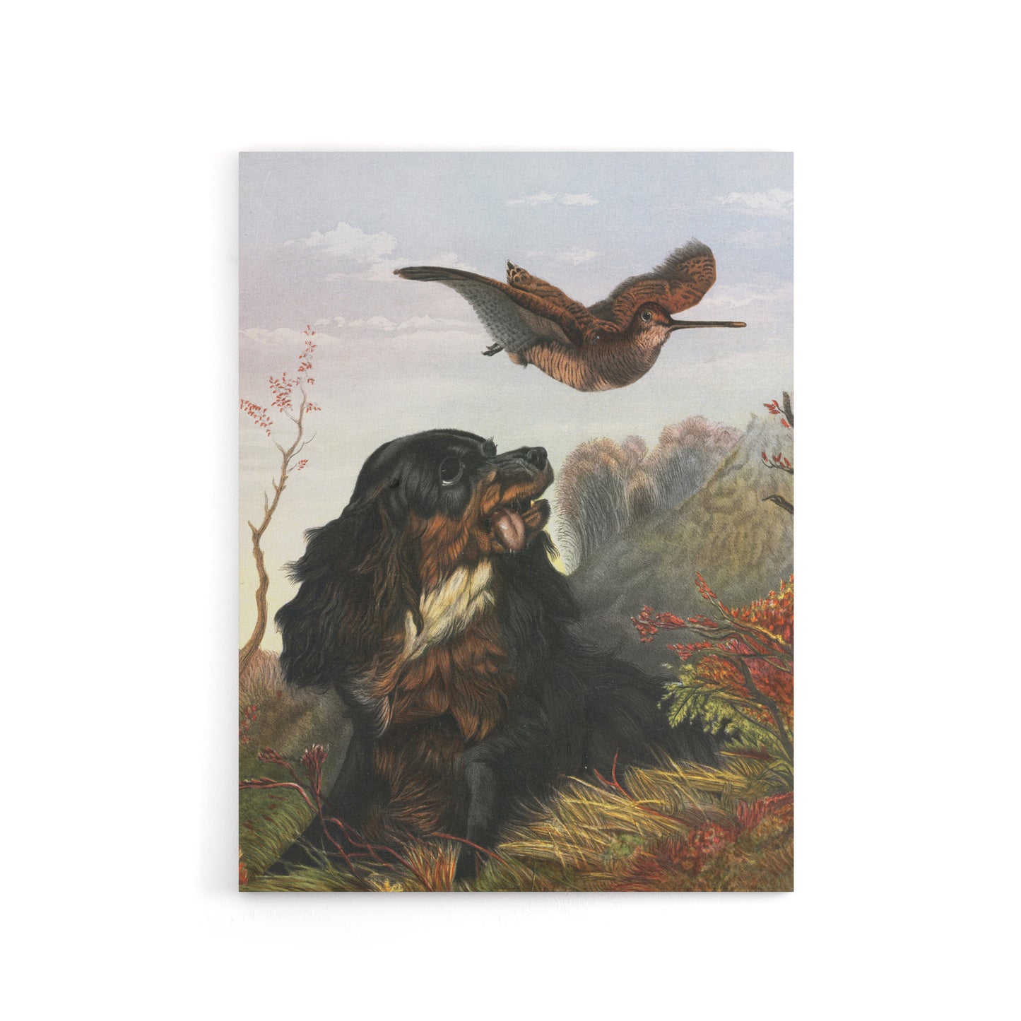 Cocker Spaniel Dog and Woodcock Arthur Tait Canvas Wall Art Print