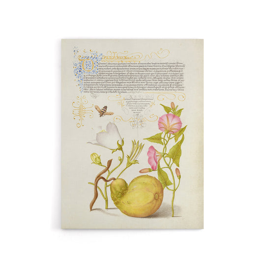 Beetle Flowers and Gourd Calligraphy Canvas Wall Art Print