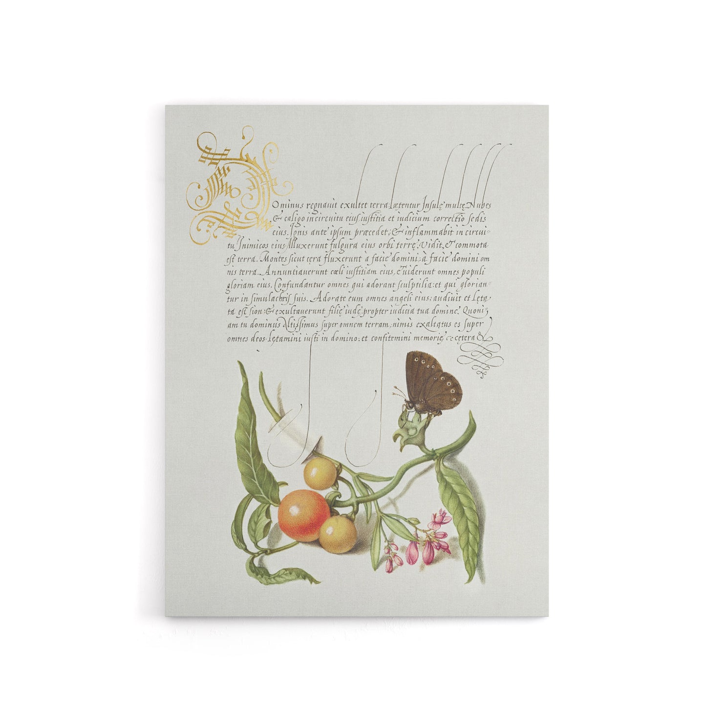 Butterfly Cherries and Milkwort Calligraphy Canvas Wall Art Print