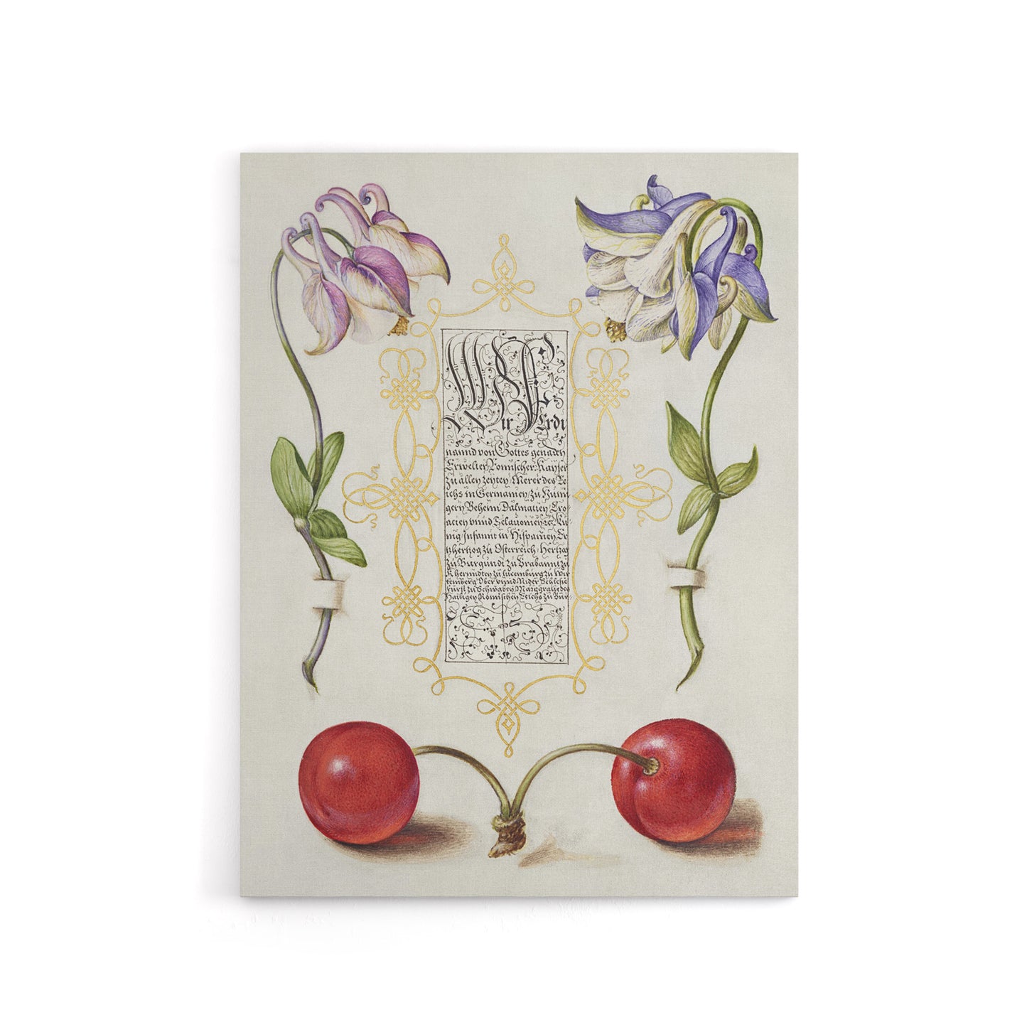Columbines and Sweet Cherries Calligraphy Canvas Wall Art Print