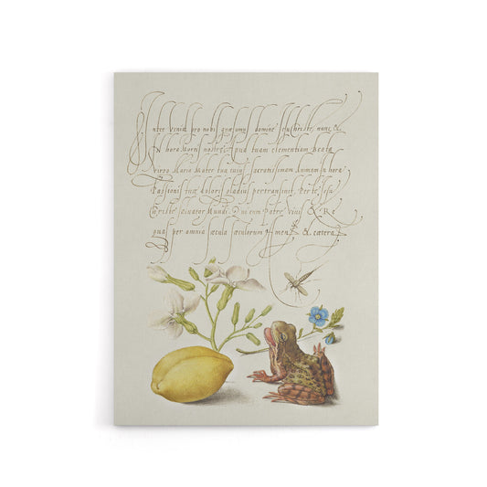 Gillyflower Almond and Frog Calligraphy Canvas Wall Art Print