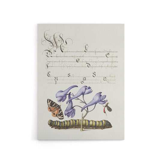 Butterfly Caterpillar and Flower Calligraphy Canvas Wall Art Print