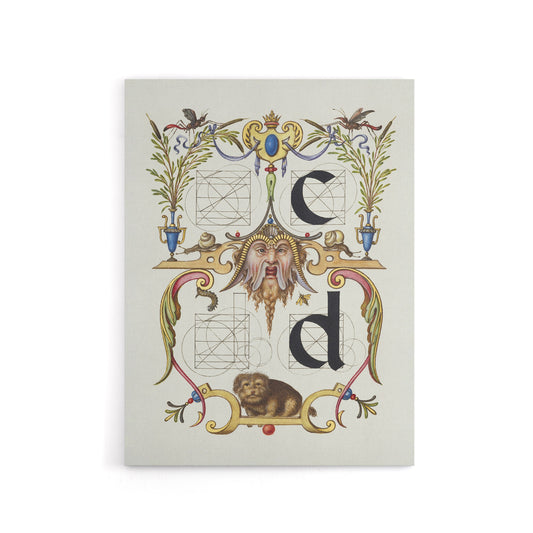 Pictoral Letter Guide C And D Calligraphy Canvas Wall Art Print