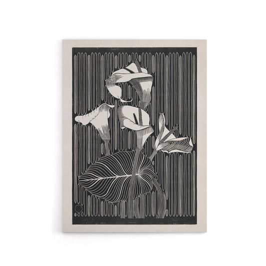 Stylised Calla Lily Flowers De Mesquita Canvas Wall Art Print